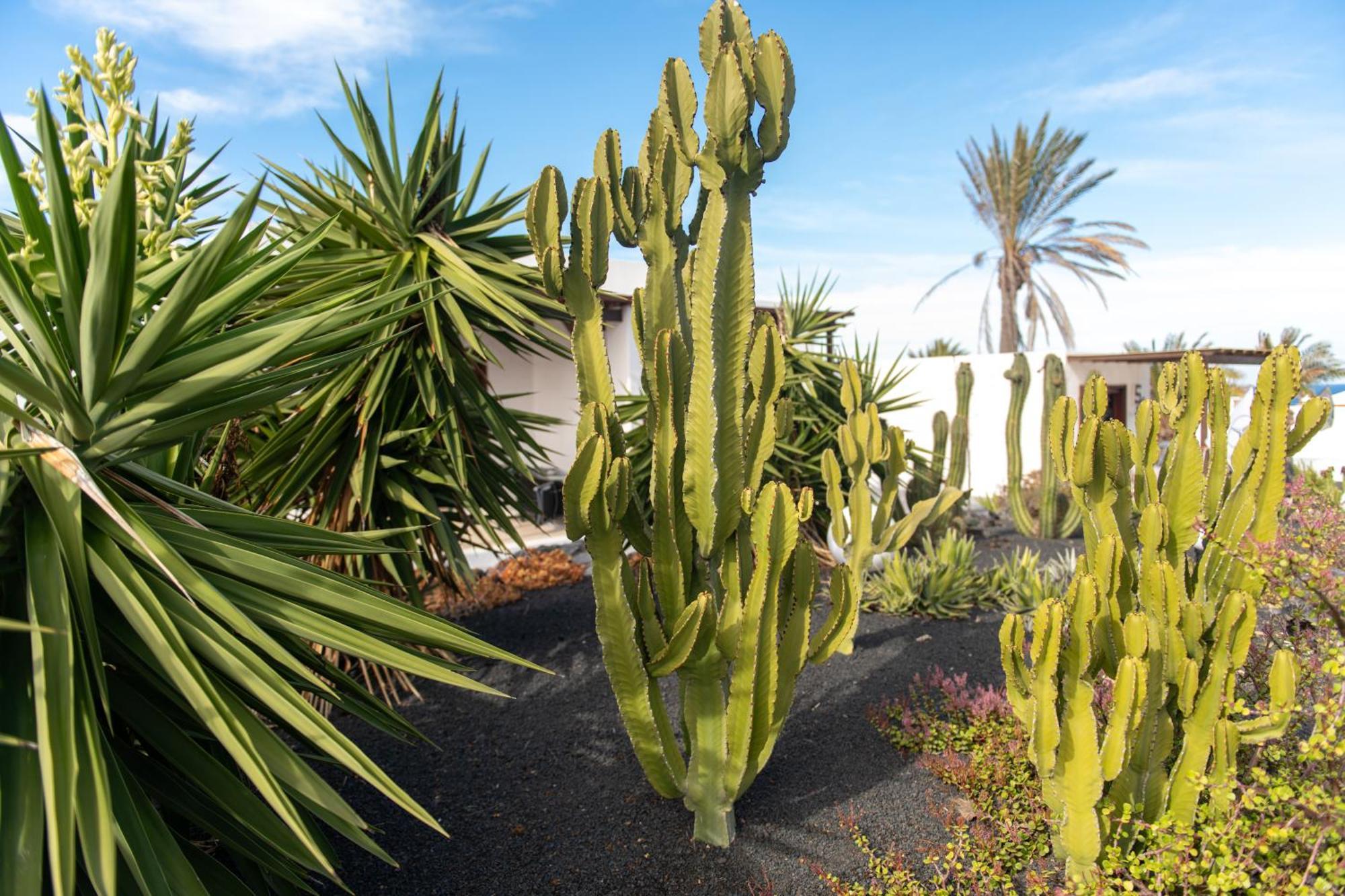 Villa Blanca Nudist Place Charco del Palo Exterior photo